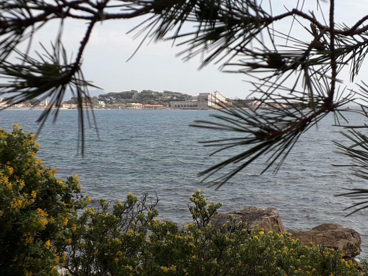 Bandol Nature Et Loisirs: Parking/ Piscine Exterior photo
